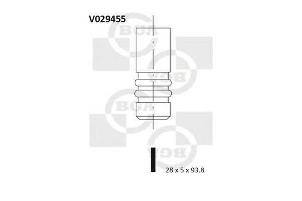 V029455